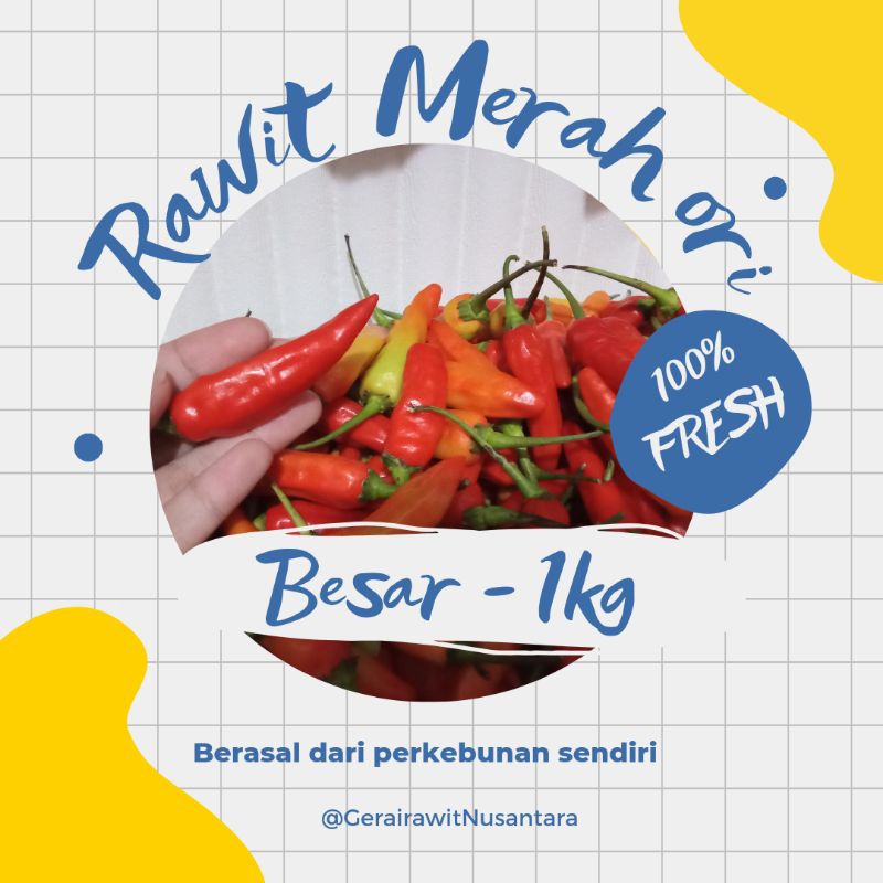 

Gerai Rawit Nusantara| Cabe Rawit Merah ORI - Besar - 1000gr/1Kg |