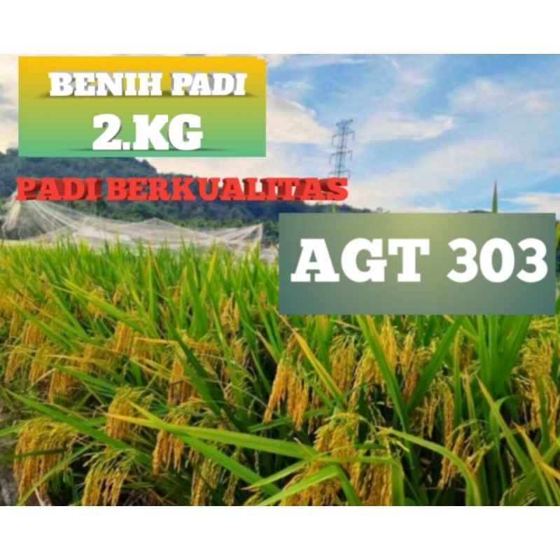 

BENIH PADI SUPER AGT 303.(2KG)