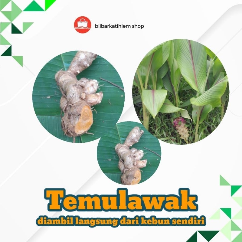 

Temulawak 1kg