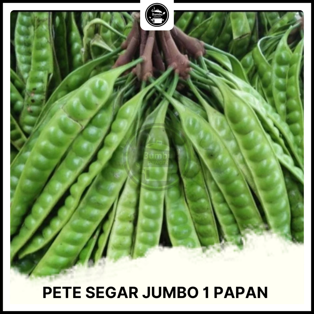 

Pete Segar Jumbo 1 Papan