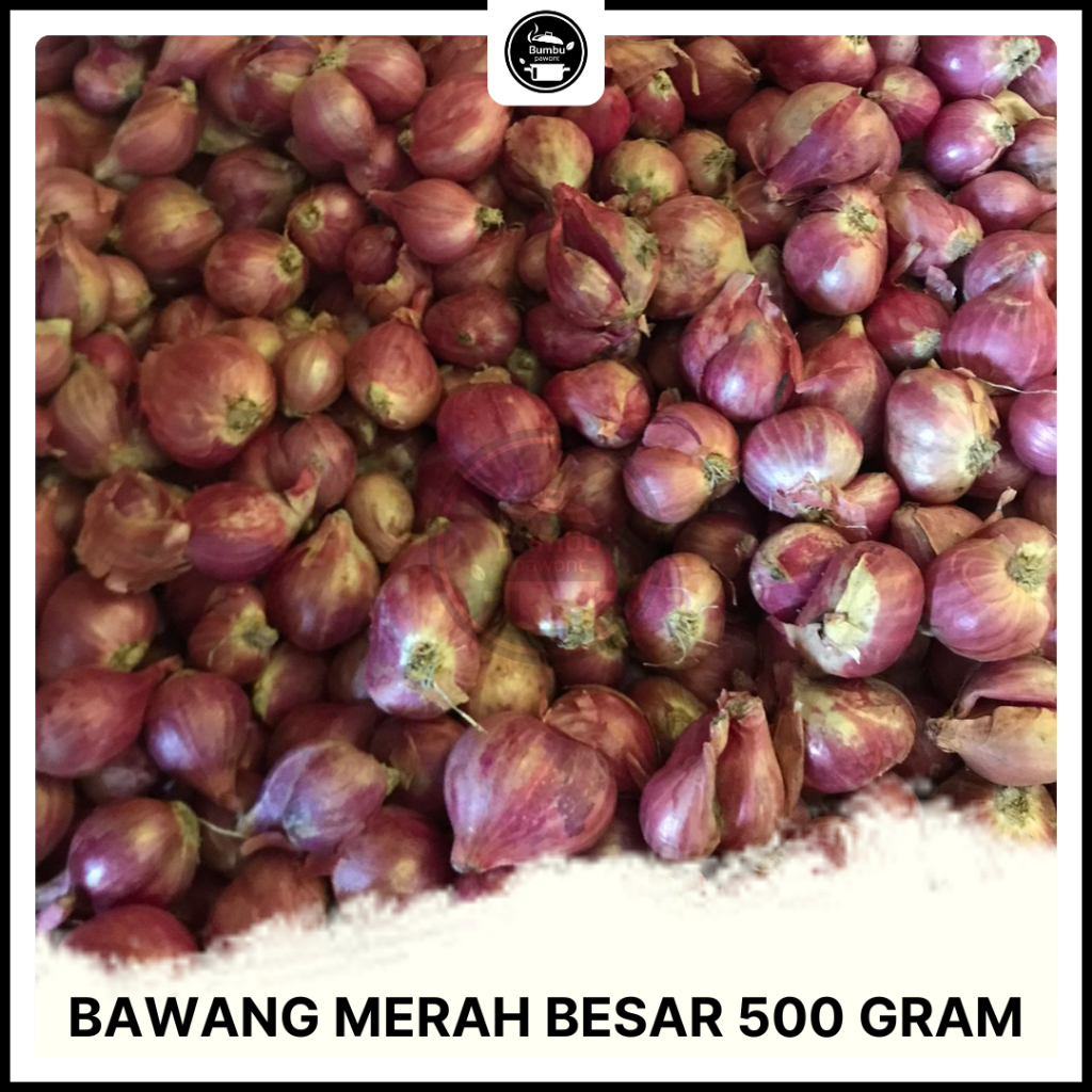 

Bawang Merah Besar 500 Gram Bawang Merah Segar Kering Berkualitas