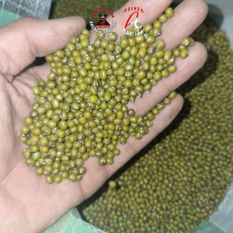 

Kacang Hijau Mentah