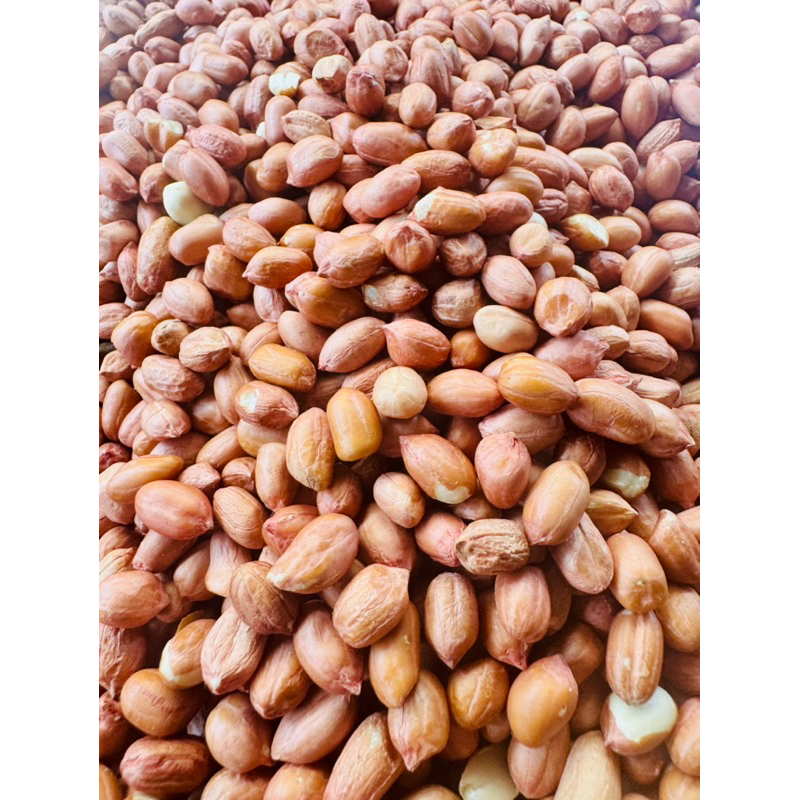 

Kacang Tanah India/Impor 1KG TERMURAH