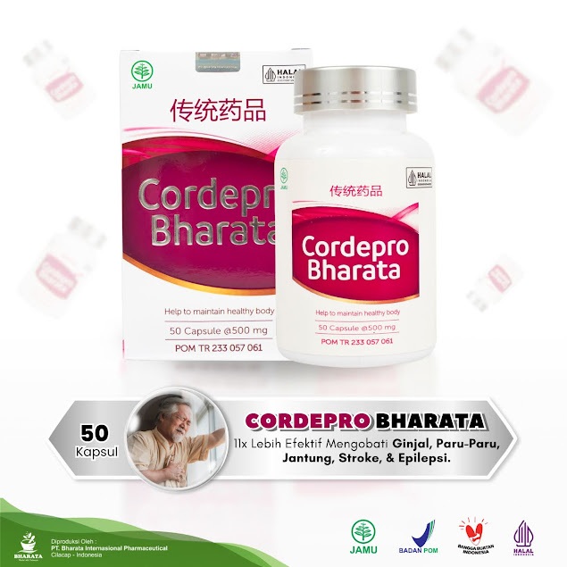 Obat Ginjal Premium - Cordepro Bharata [Membantu Mengembalikan Fungsi Ginjal]