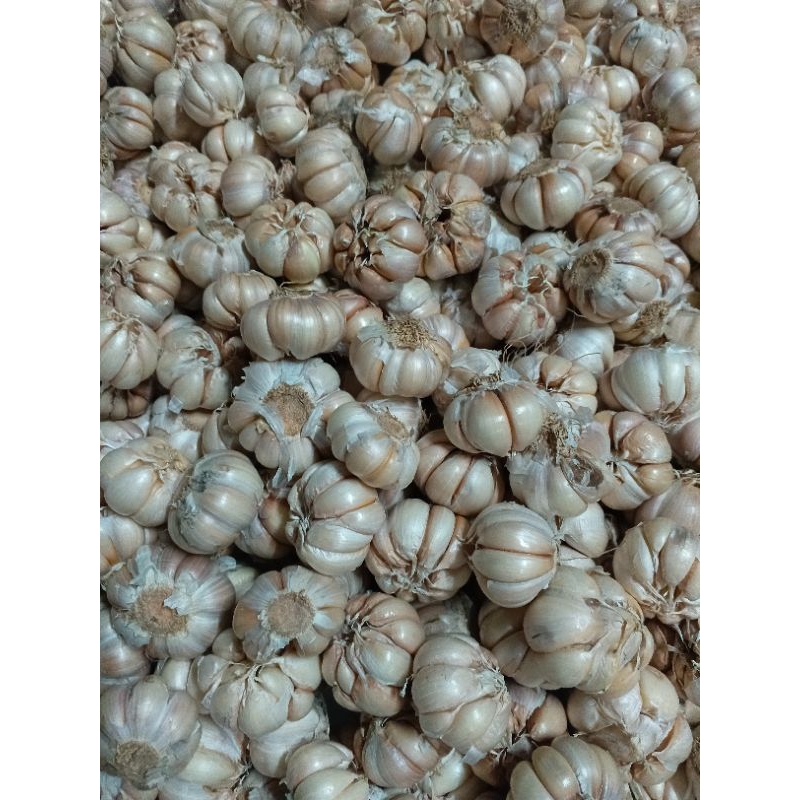 

BAWANG PUTIH BERSIH 1KG