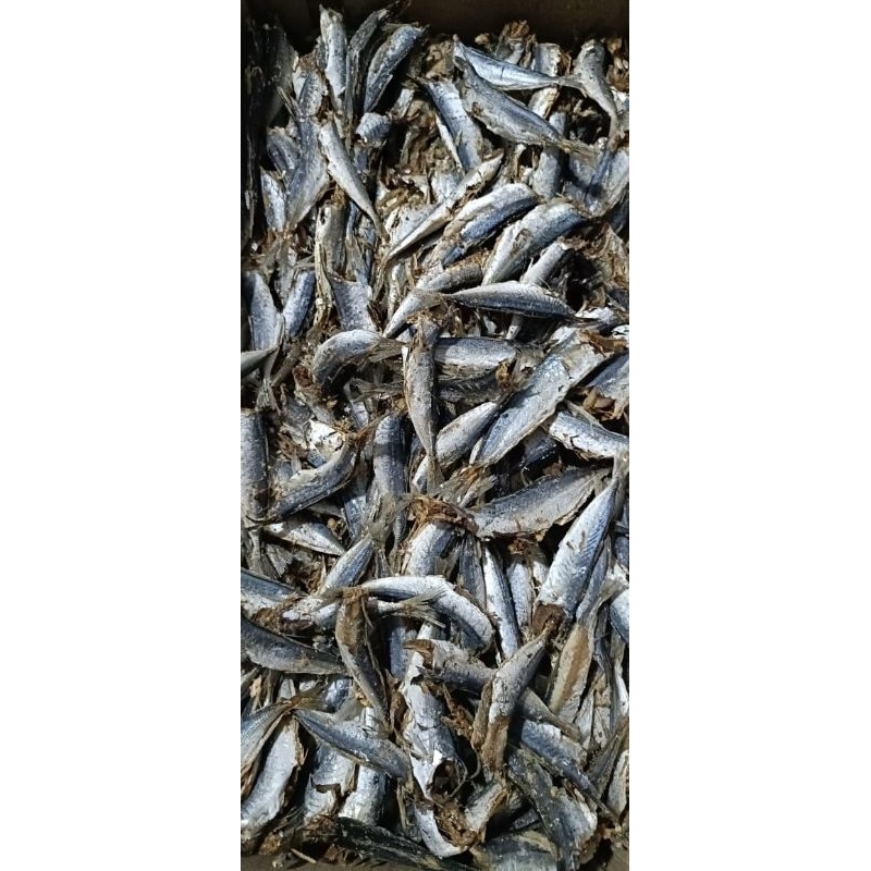 

ikan layang pk rebus super tanpa kepala