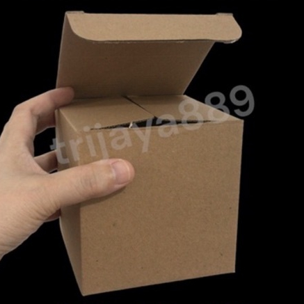 

kardus kotak box pizza/diecut uk 10x10x6 PIZZA