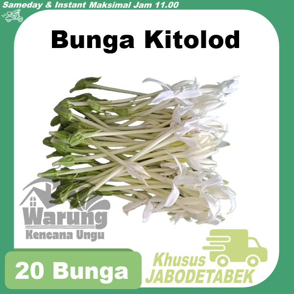 

Bunga Kitolod 20 Pcs Segar KHUSUS JABODETABEK