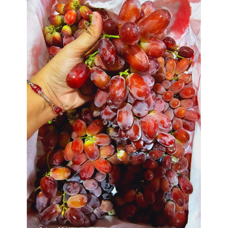 

Anggur Crimson manis tanpa biji