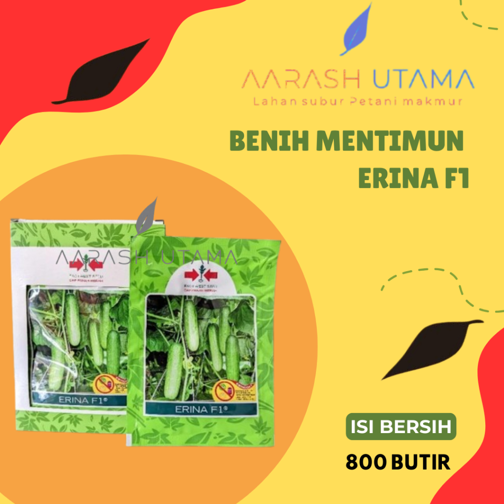 Timun Erina / Benih Mentimun ERINA F1 (800 Biji) - Bibit Timun Lalap / Mentimun Cap Panah Merah