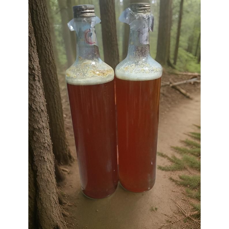

Madu murni madu hutan khas gunung Argopuro