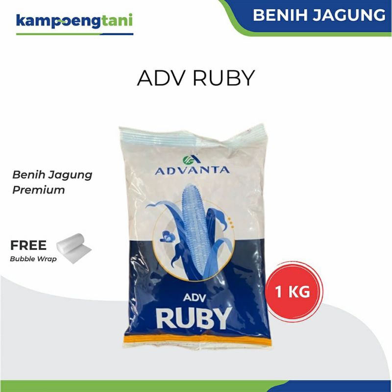 BIBIT JAGUNG ADV RUBY 1KG/BENIH JAGUNG#Bibit jagung#Adv Ruby