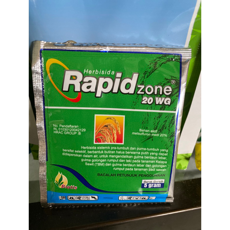 Rapid