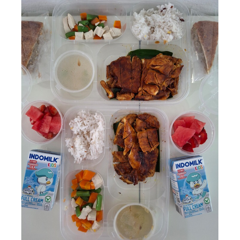 Healthy Catering for Kids (2 Makanan+Snack)