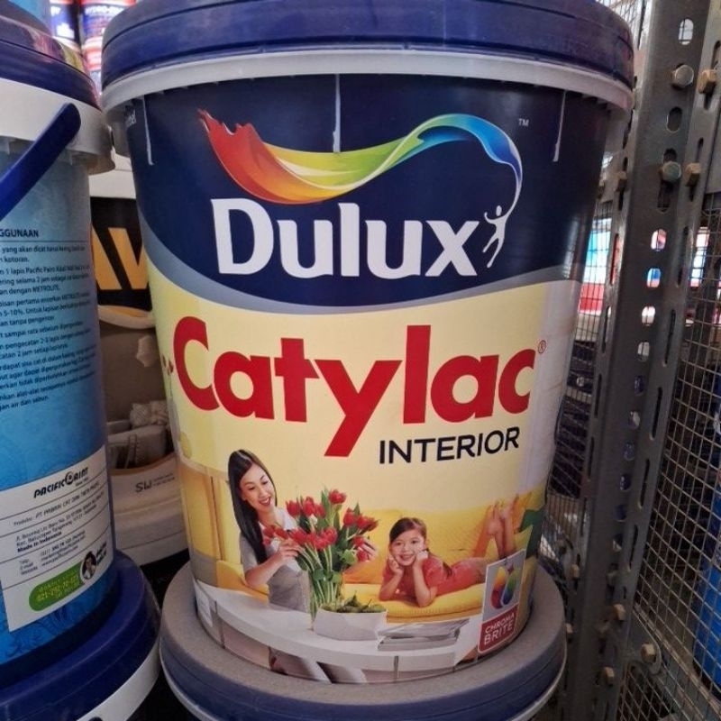 Cat Catylac Interrior 25kg