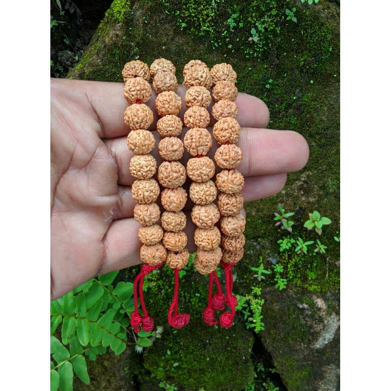 jenitri rudaksa gelang kesehatan gelang rudaksa gelang jenitri  gelang kesehatan jenitri  gelang jen