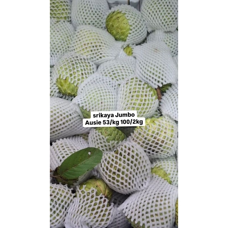 

Srikaya jumbo