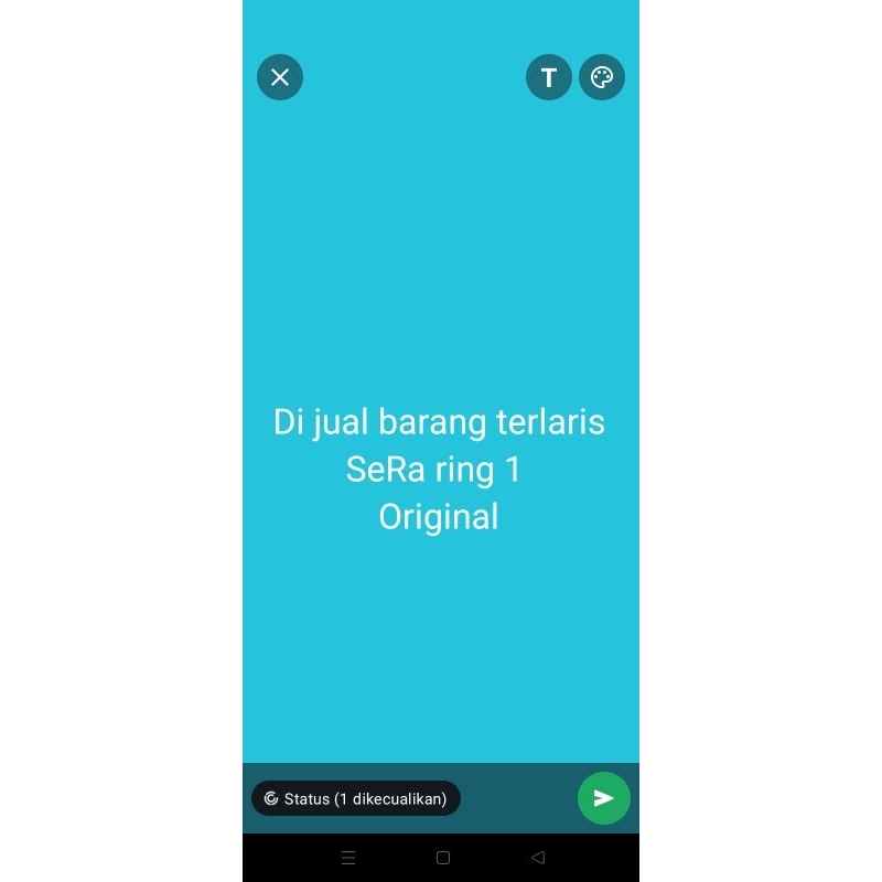 

praduk terlaris S3R4 ring 1 original