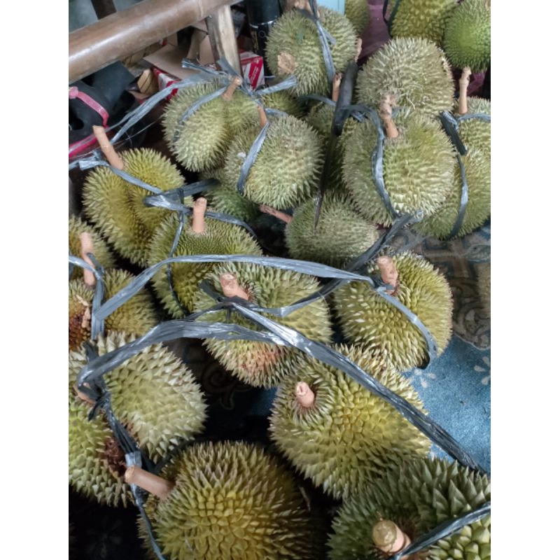 

Durian Duren Lokal Banyumas Asli Super Murah Manis Legit