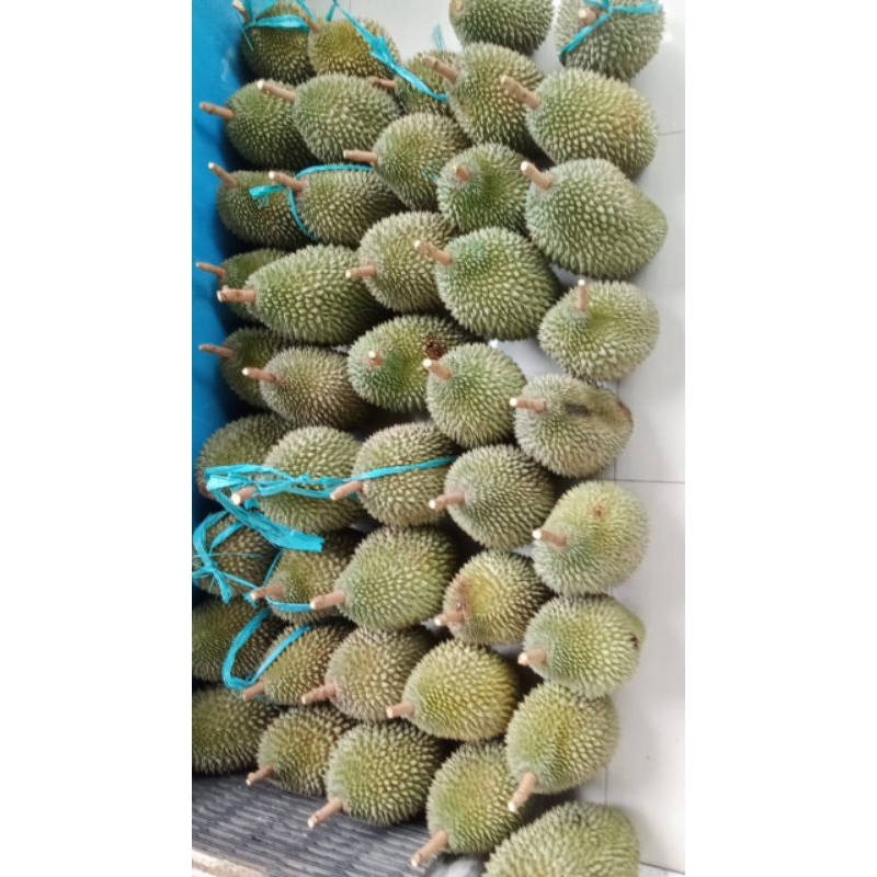 

Durian Lokal Jawa Duren Sedang Manis Legit Utuh Bergaransi Asli