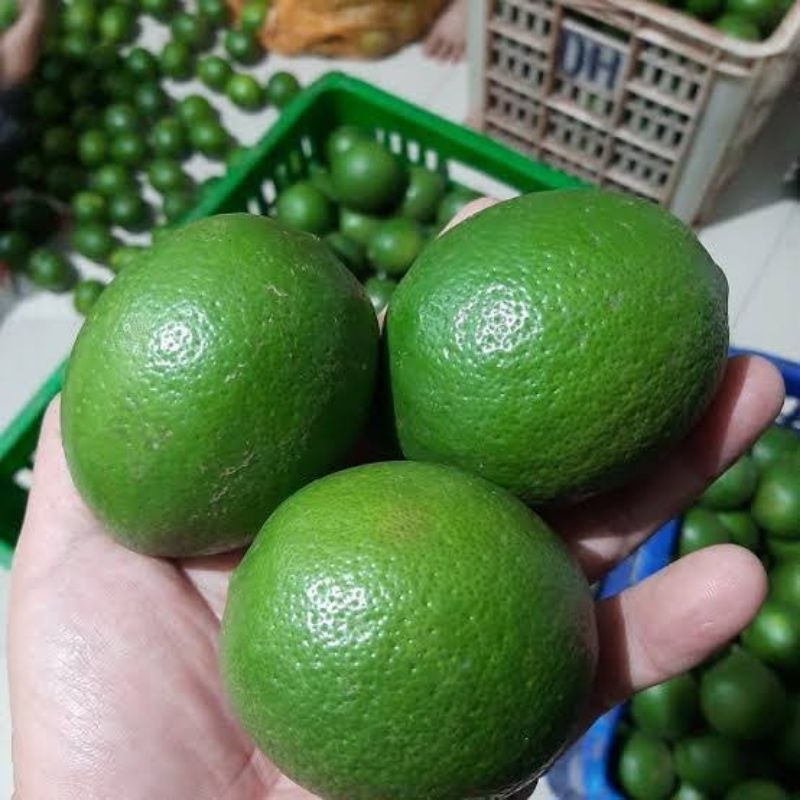 

1KG Jeruk Lemon California Hijau Fresh, Petik Dadakan di Kebunnya