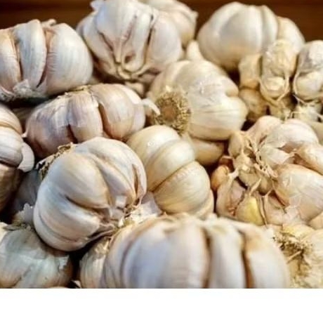 

Bawang Putih Bersih Fresh berat 1kg