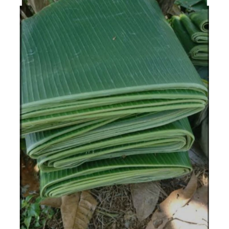 

daun pisang SEGAR 500gram