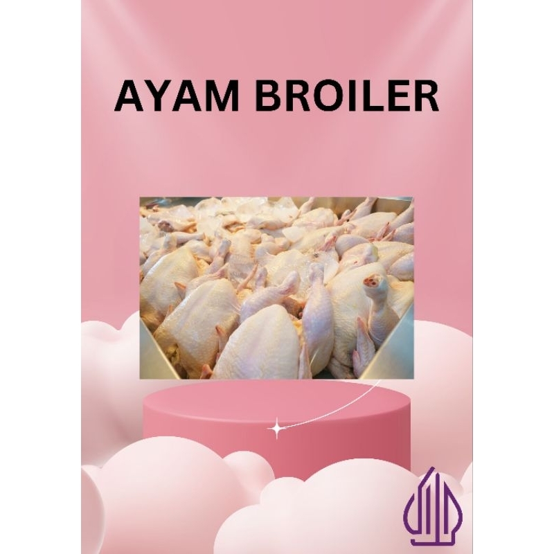 

AYAM BROILER 700-800 GR