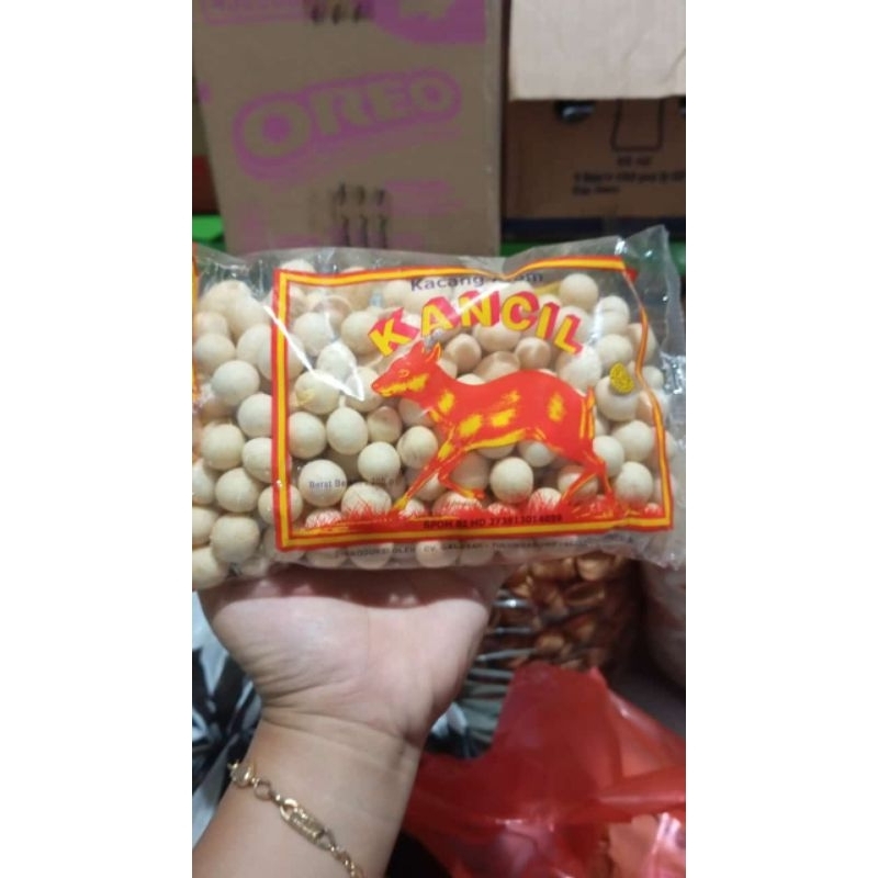 

KACANG ATOM KANCIL