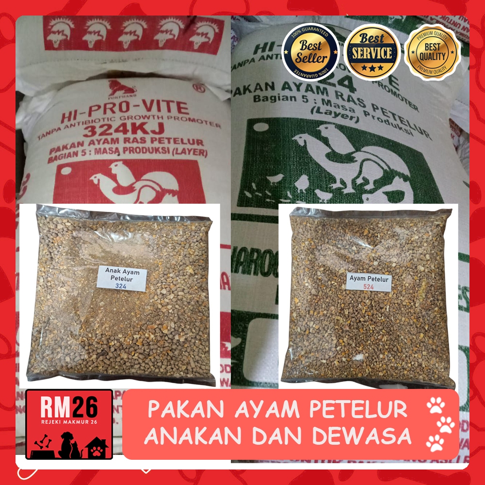 Pakan Ayam Petelur Anakan dan Dewasa