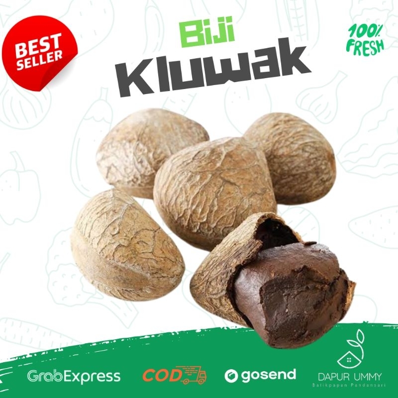 

Biji Kluwak | keluak | kluwek