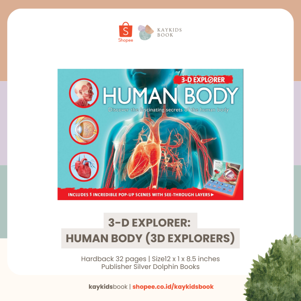 3-D Explorer: Human Body (3D Explorers)