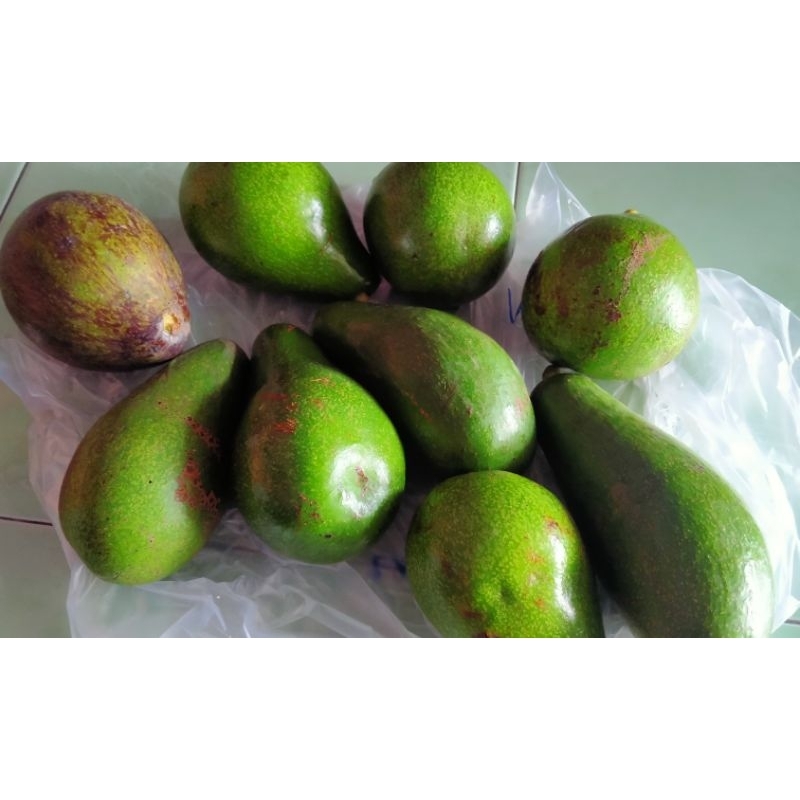 

alpukat mentega 1kg