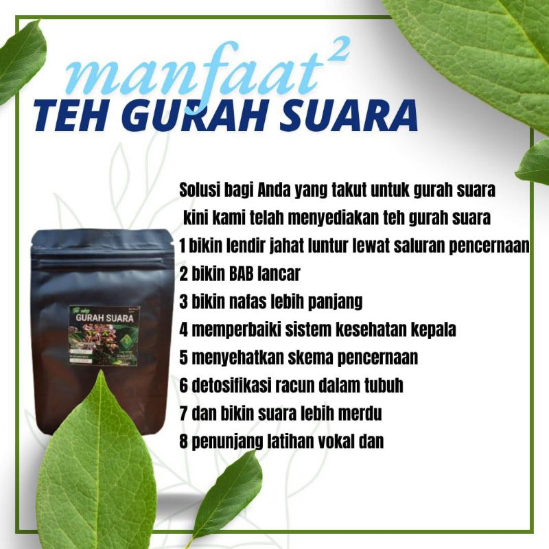 

TEH GURAH SUARA. BIKIN SUARA MERDU NAFAS LEBIH PANJANG