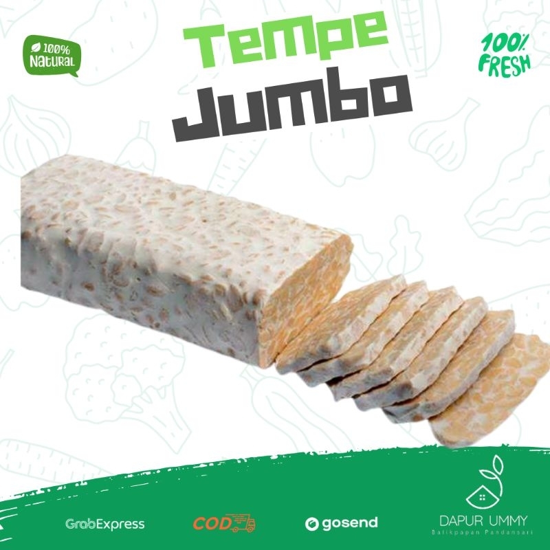 

Tempe Jumbo • Tempe besar