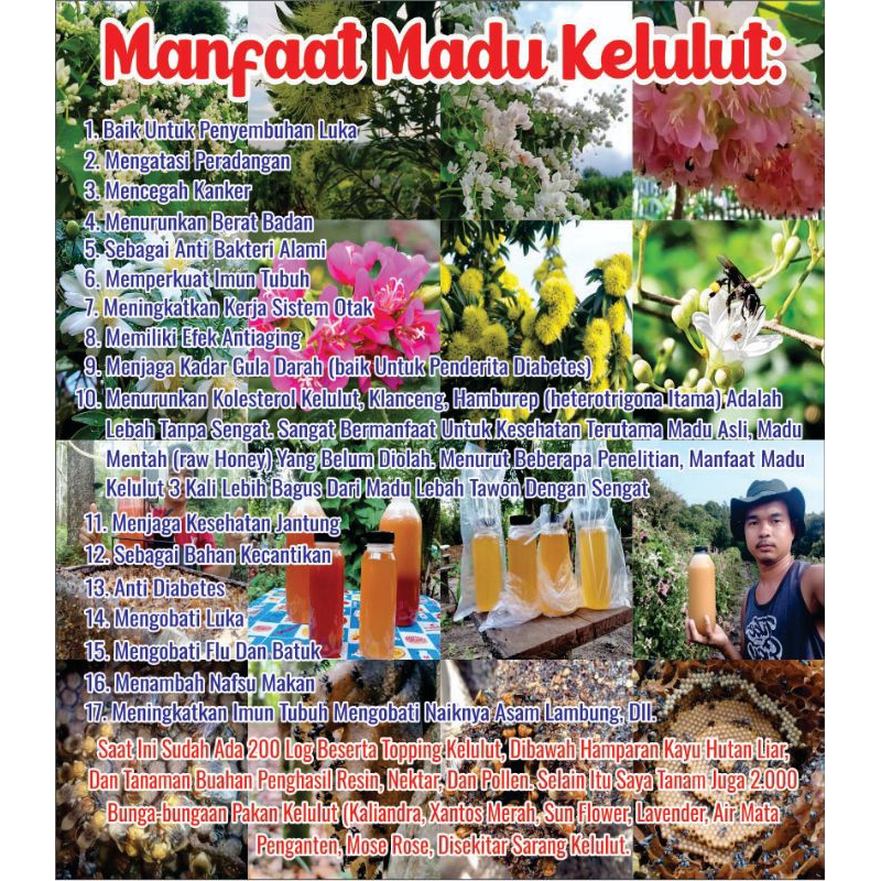 

madu kelulut,kelanceng 1000%murni tanpa campura panen langsung kirim Neto.250ml