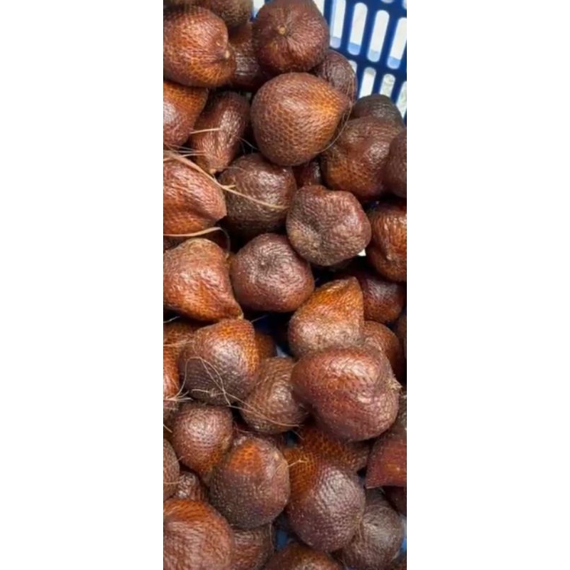 

Salak pondoh manis