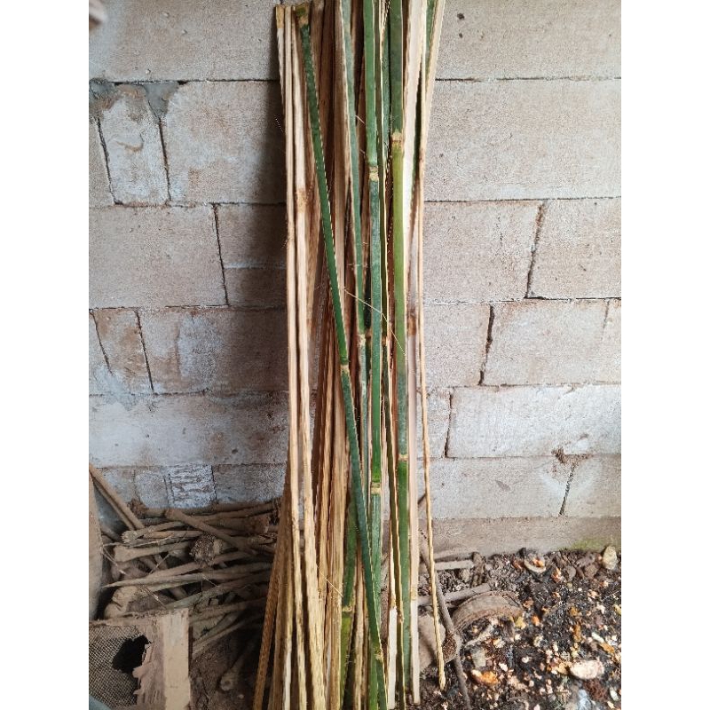Arku gapangan layangan 10pcs,lebar 2cm panjang 150cm