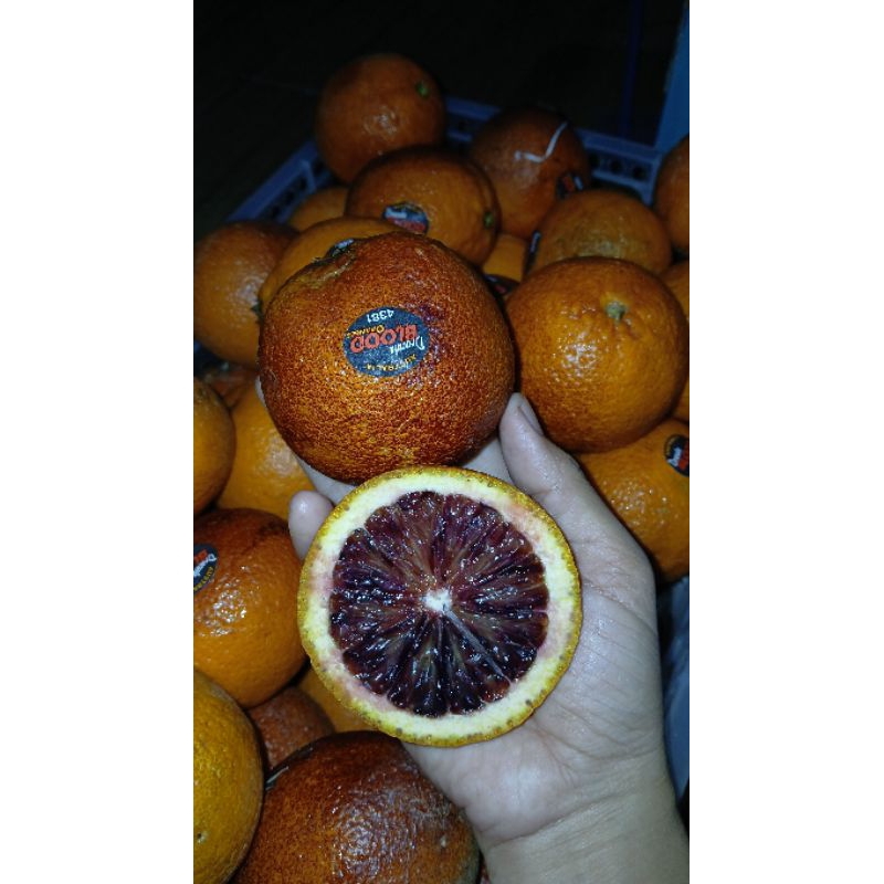 

Sunkist BloodDracula 1kg / Jeruk Sunkist