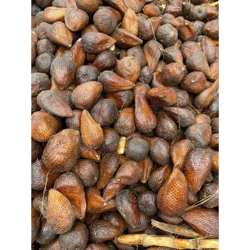 

Salak Pondoh Segar Berat 1 Kg