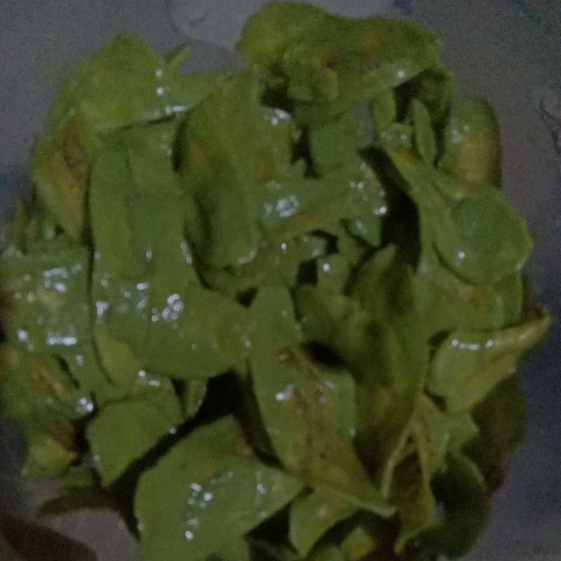 

kripik rasa macha green tea 1kg