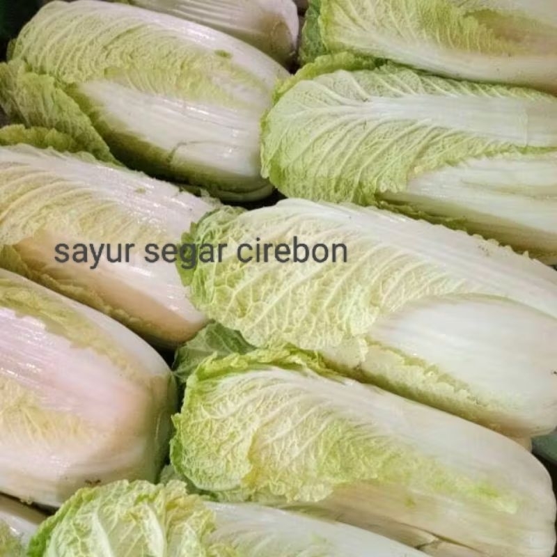 

SAWI PUTIH 800GRAM Sayur Segar Cirebon