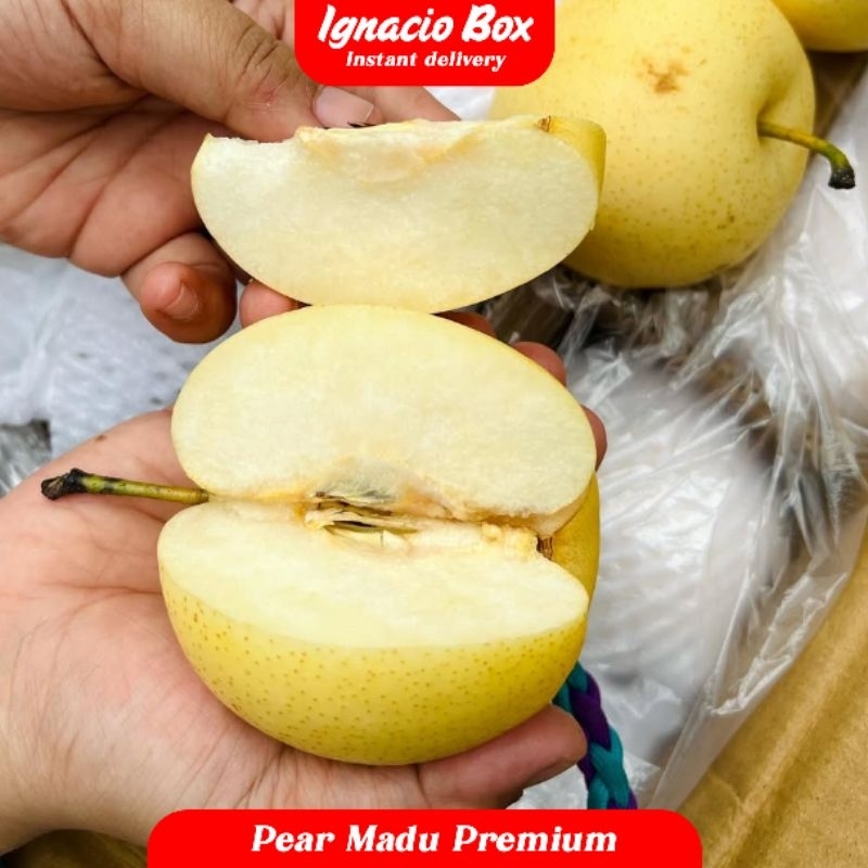 

Buah Pir Madu Segar Pear Century 500gr Fresh IgnacioBox