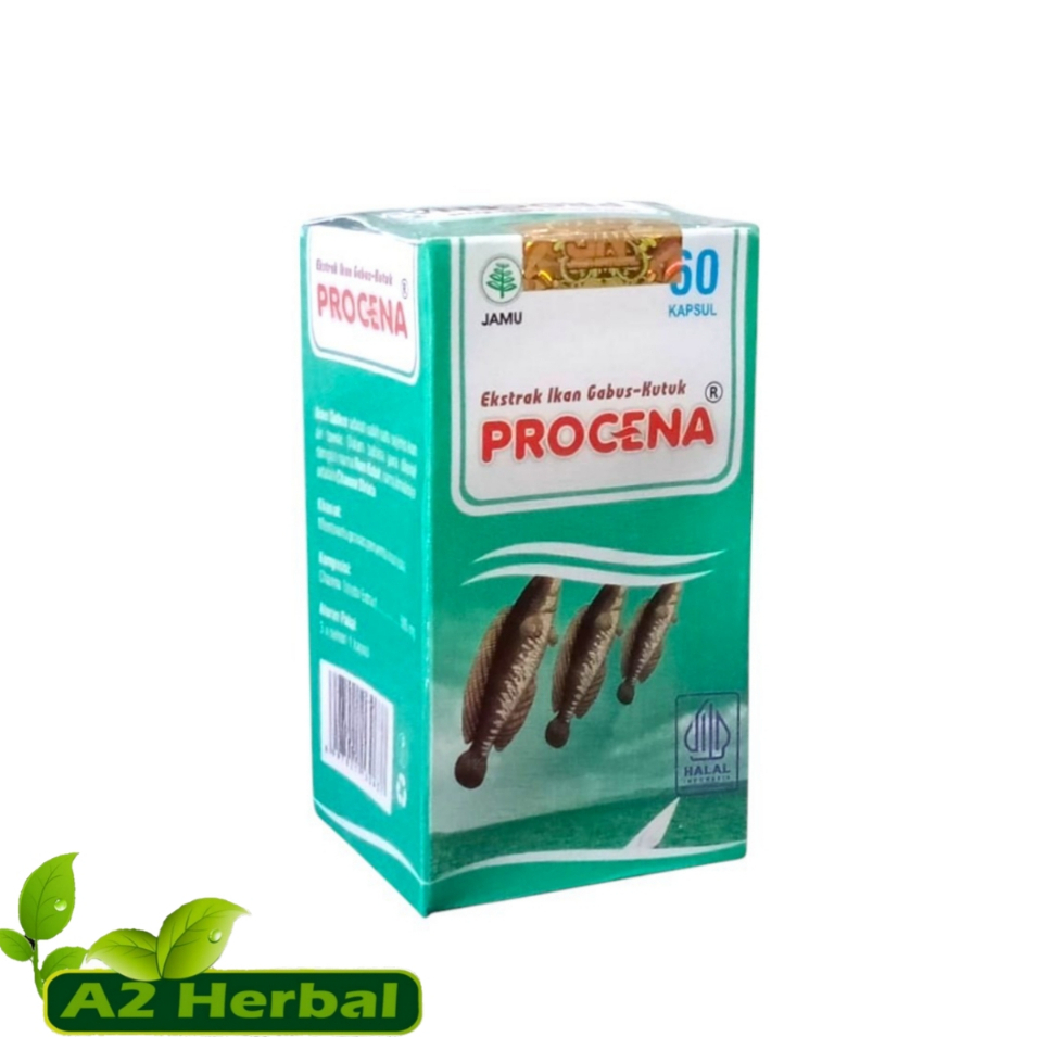 Kapsul Procena Ekstrak Ikan Kutuk | Albumin EKstrak Ikan Gabus Procena 60 Kapsul