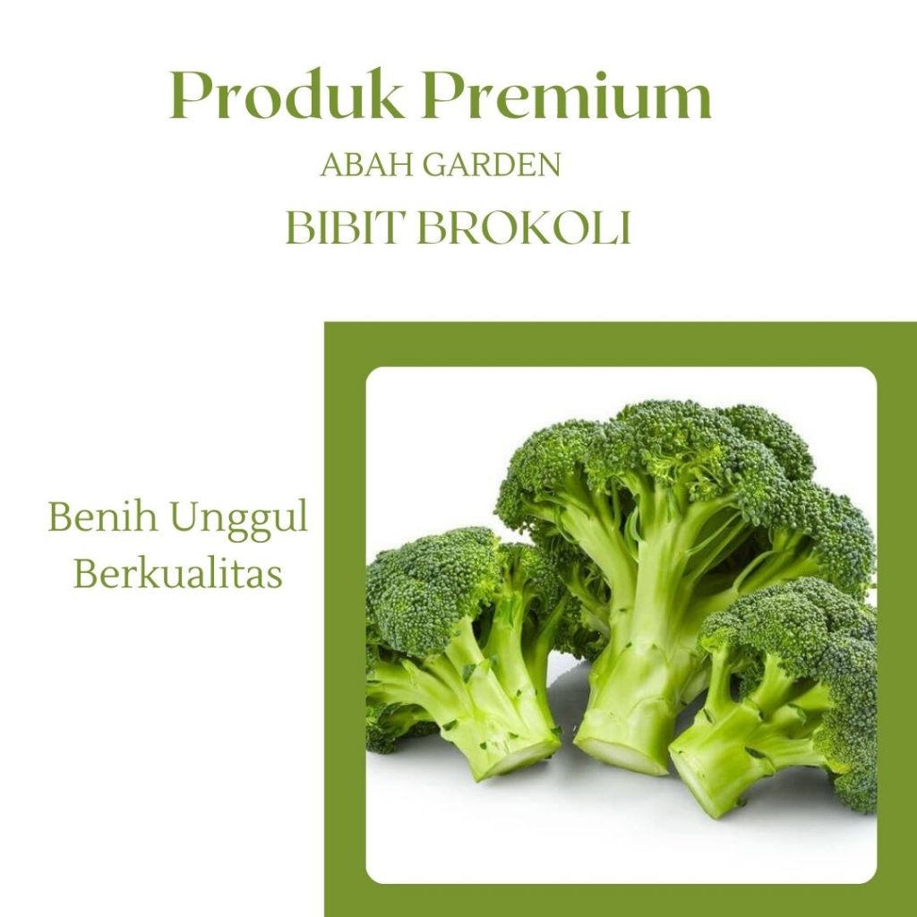 Benih Sayuran Brokoli Bibit Benih Brokoli Bibit Unggul