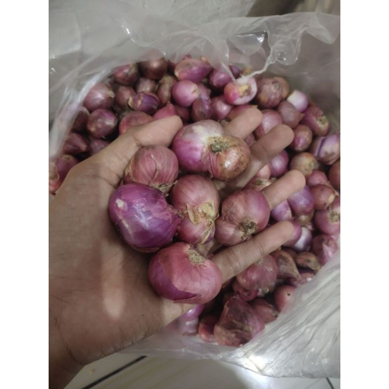 

Bawang Merah