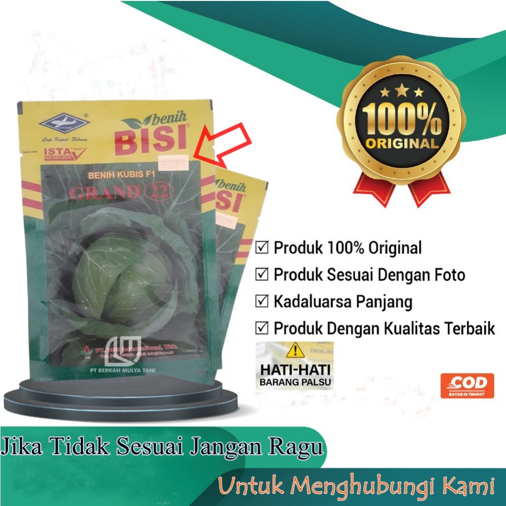 Benih Kubis Grand 22 Bibit Kol Hibrida F1 15 Gram Bisi Cap Kapal Terbang
