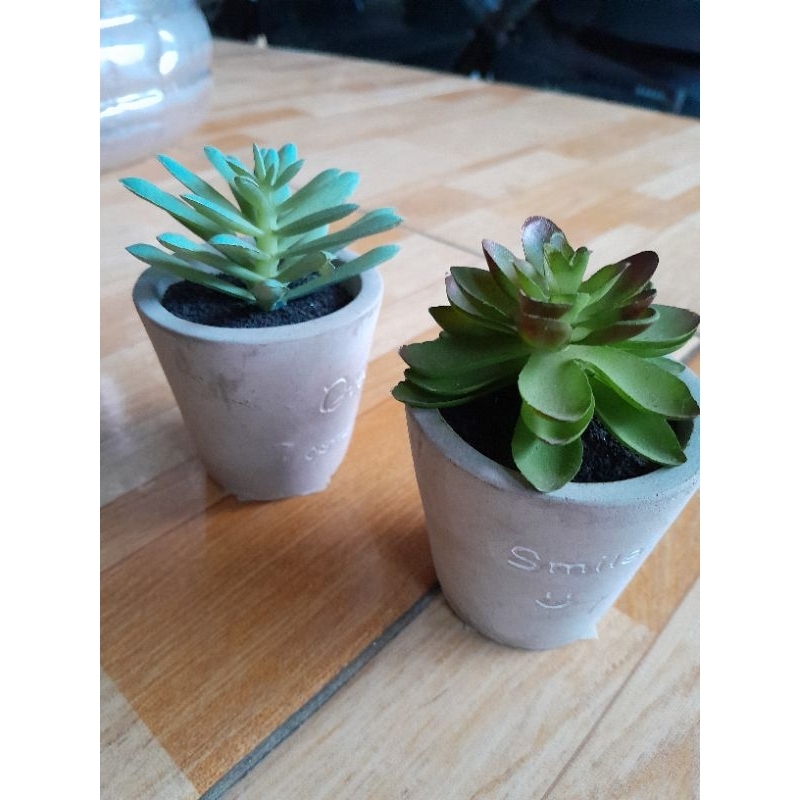 Informa Artificial succulent tanaman hias
