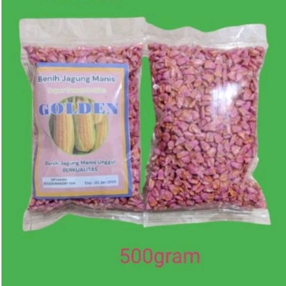 

Binih jagung manis golden 500gram