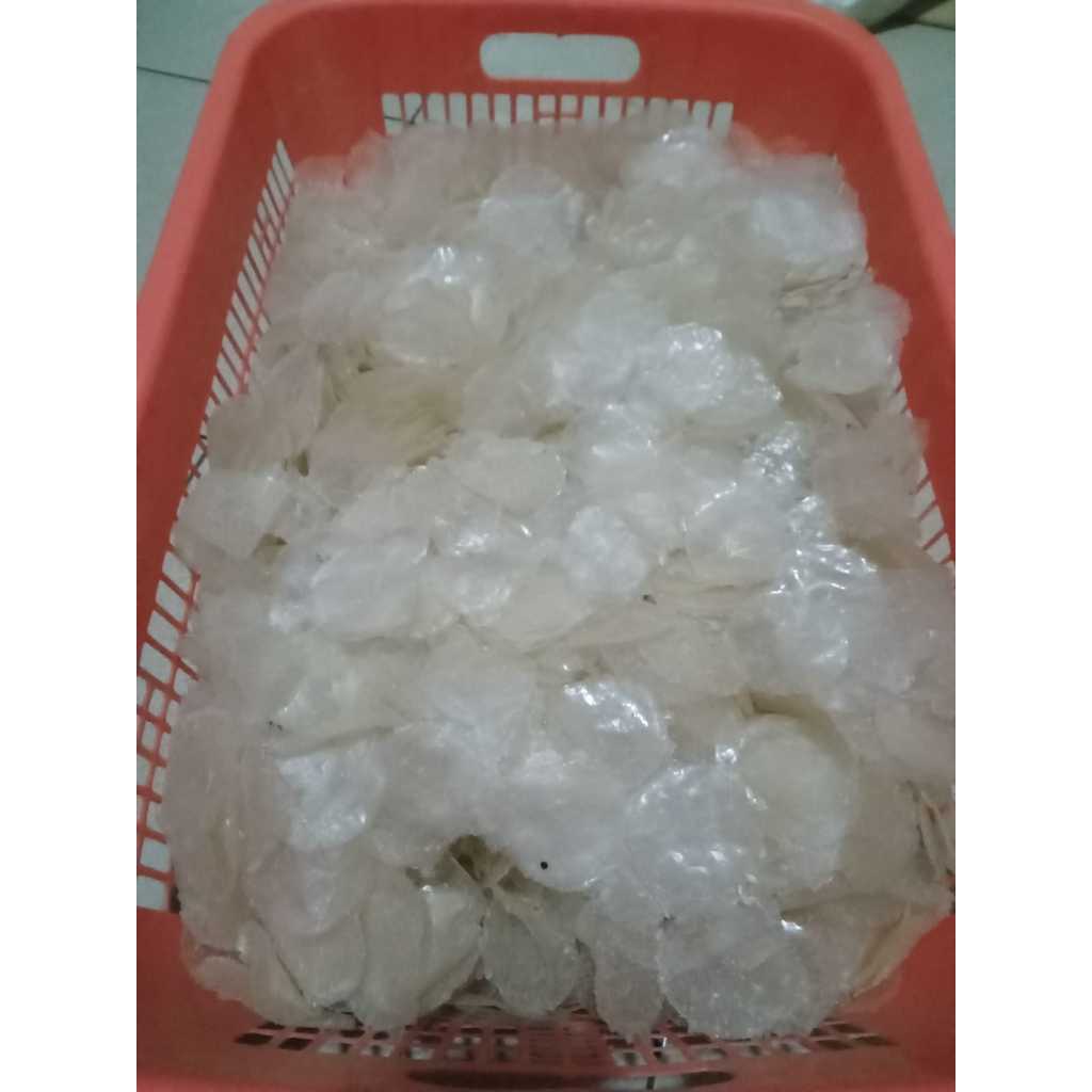 

kripik kaca koin mentah 1 kg siap order bisa COD